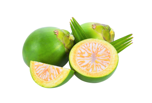 pngtree-areca-nut-on-white-background-medicinal-png-image_11080508