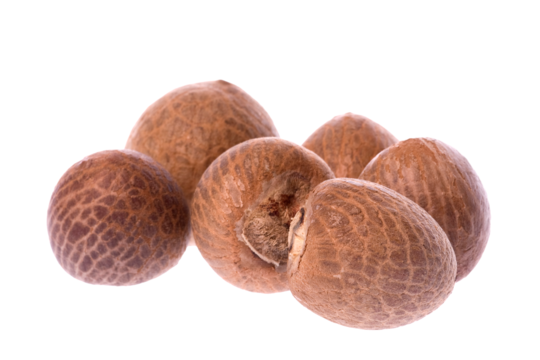 pngtree-betel-nuts-macro-isolated-nut-areca-betel-png-image_14961212